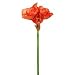 Produktbild Amaryllis gefüllt , mit 4 Blüten, 76 cm x 25 cm - Orange (künstlich)