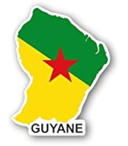 Pin's Drapeau Guyane Française - 2cm - Résine Époxy - Fermoir Papillon