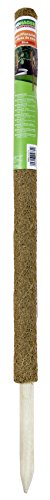 Windhager Pflanzstab Kokos, verlängerbar, 80 cm - 5