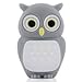 Produktbild Click TM High Quality 4 GB/8 GB/16GB/32GB/64GB/Cool Form USB High Speed Flash Memory Stick Pen Drive Disk Gray Owl 16 GB