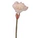 Produktbild Amaryllis mit `Eiseffekt', 74 cm - Weiß (künstlich)