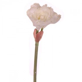 Preisvergleich Produktbild Amaryllis mit `Eiseffekt', 74 cm - Weiß (künstlich)