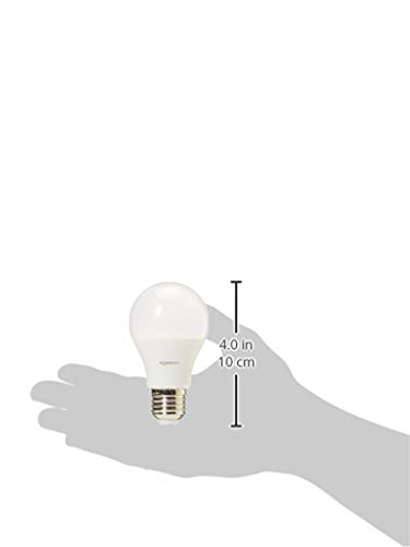 AmazonBasics Professional - Bombilla de tipo Edison LED, casquillo E27