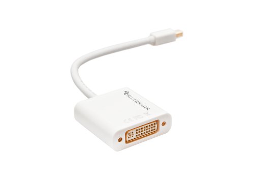 BlueRigger Mini Displayport (Thunderbolt) zu DVI Female Adapter-Kabel - 3