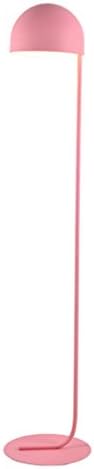 LOVELY LIGHT Modern Simple Floor Lamp, Macron Color Metal Shade Living Room Bedroom Floor Lamp, H160cm * D32cm ( Color : Pink )