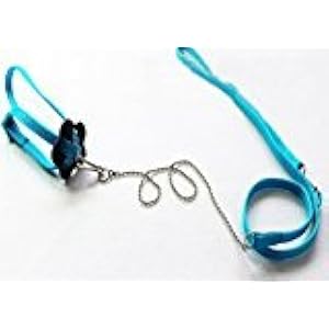 zantec Generic verstellbar Reptile Eidechse Harness Leine verstellbaren Multicolor Light Soft Fashion (blau)