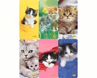 Preisvergleich Produktbild Cat Mikrofaser Pad Sortiment