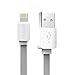 Rock Lightning Cable for Apple iPhone 5/5S/6/6 Plus and iPad (Grey) RS.245.00