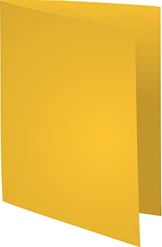 Exacompta 850000E - Lote de 250 Subcarpetas Super 60 Colores Surtidos reviews Exacompta 850000E - Lote de 250 Subcarpetas Super 60 Colores Surtidos
