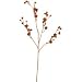 Produktbild Distelzweig, 60 cm x 10 cm - Kupferfarben (künstlich)