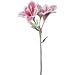 Produktbild Amaryllis, 2 Blüten, 54 cm - Rot (künstlich)