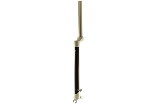 exotic carbon rigid mtb fork
