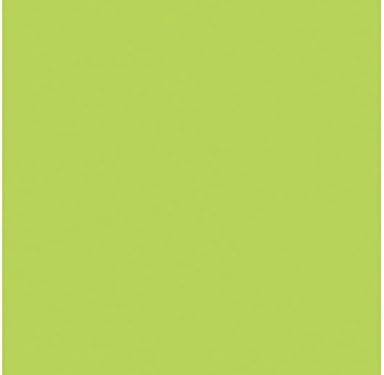 WACO Porcelain Pen 1-2mm - Light Green