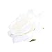 Produktbild 20 X Künstliche Rosenköpfe Sommerwind Blumen Köpfe Für Zu Hause Hochzeits Dekoration Hochzeit Feste Partei Haus DIY Basteln,10cm Durchmesser,Weiß