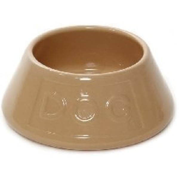 spaniel bowl