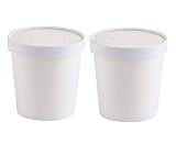 Lot de 25 récipients à crème glacée jetables avec couvercles et bols à yaourt La Reine des neiges de 454 ml blanc