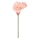 Produktbild Amaryllis mit `Eiseffekt', 74 cm - Pink (künstlich)