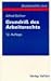 Grundriß des Arbeitsrechts - Alfred Söllner