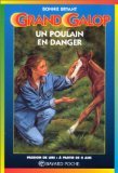 Un poulain en danger