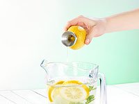 PEARL Zitrusfrucht-Entsafter mit Ausgießer, Edelstahl 18/8 - 7