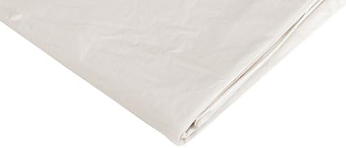 Gam Paint Brushes 9ft. x 12ft. Sentinel Clear Plastic Drop Cloths DC90101