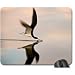 Produktbild Schwarz Skimmer Mauspad, Mousepad (Birds Maus Pad)