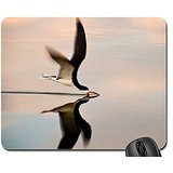 Preisvergleich Produktbild Schwarz Skimmer Mauspad, Mousepad (Birds Maus Pad)