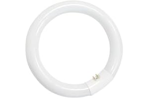 GSC EVOLUTION Tubo fluorescente circular 32W T9 6400K GSC 2000590