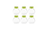 recetario yogurtera cuisinart cepillo limpiador Tefal Multidelices XF102032 - Accesorios yogurtera, plástico, blanco/verde, 200 ml, 6 botellines