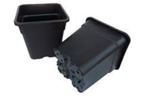 ATAMI - WILMA 11 L X10 POTS ATAMI - Wilma 11 Litre 25CM - x10pots