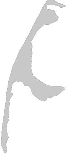 2x Car Decal, Bumper Sticker " SYLT " German Island die-cut (ca. 11 x 5 cm) (silver)