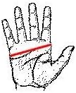 Quality Thinsulate™ sheepskin leather gloves palm details winter and general use