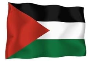 AKACHAFACTORY Autocollant Sticker Drapeau Palestine Palestinian Moto Voiture Vinyl Vinyle