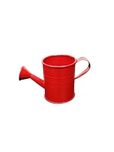 TNZ Creations, Metal Watering Can Small Rust Free. This adorable watering can help you in the garden Promote fun family time by engaging kids with Nature. (Colour Red, Pack of 1 Piece ) Please check the size before you place the order. Size.13 X 6 X 7.5 CMS ( L X W X H )