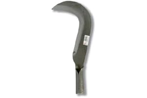 Flores Cortés - Tajamata n.1 270x56x120 mms.