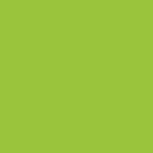 Brusho Colours Lime Green Small
