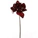 Produktbild Amaryllis, 71 cm - Bronzefarben/Bordeauxfarben (künstlich)