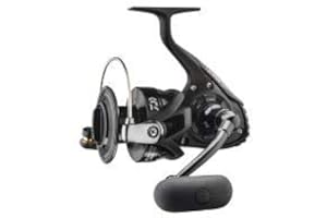 Daiwa Sea fishing reel BG Magsealed