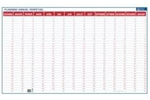 PLANNING ANNUEL PERPETUEL 60X99 cm BOUCHUT