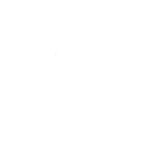 Cosmocolor 02.05.03.25 Trommelsteine,Edelsteine,Heilsteine Mischung Indien,10 Sorten,1 Kg