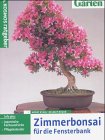 Download Zimmerbonsai