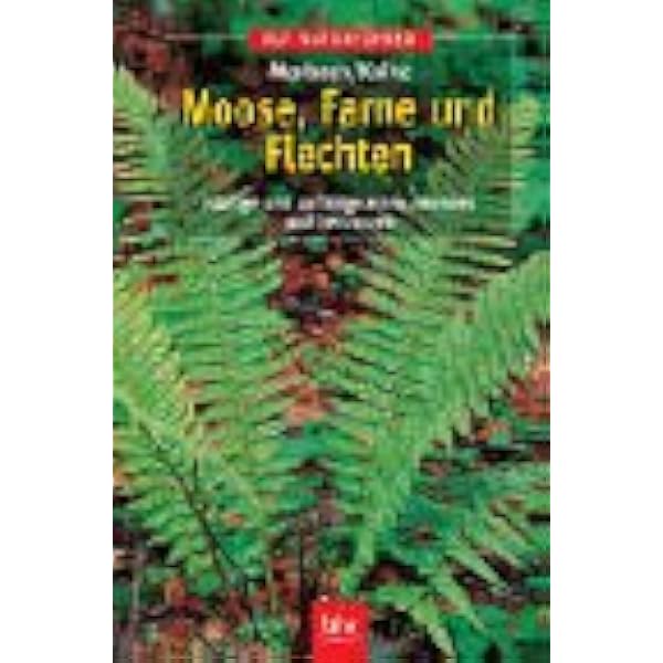 kunstpflanze hängend depot Künstliche Hängepflanze Weißschnell günstig online kaufen main image 1