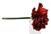 Produktbild Amaryllis rot 75cm 4 Blüten 1Stk