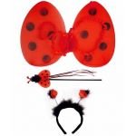 3 Piece Ladybird Dress Up Set
