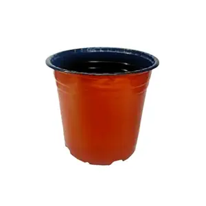Grovalue Plastic Flexi Pot for Nursery Garden 8 Inch[Pack of 12]