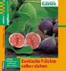 Preisvergleich Produktbild Exotische Früchte