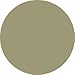 L'Oreal Color Appeal Single Eye Shadow, Dazzling Khaki Number 171