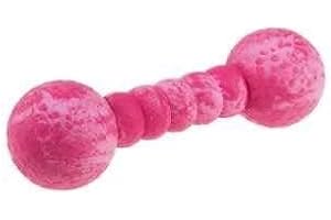 Wolters Cat & Dog Aqua-Fun Gym 23 cm, Farbe: Mango, für Erwachsene Hunde, Hundespielzeug, Wasseraktivitäten