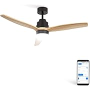 CREATE / WINDSTYLANCE DC / Ventilatore da soffitto con WIFI con luce, motore DC nero, con pale in legno naturale / Silenzioso, 2 altezze, timer