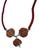 Rudraksha Combination For Hanuman Power 4,5,11 Mukhi Java Lab Certified